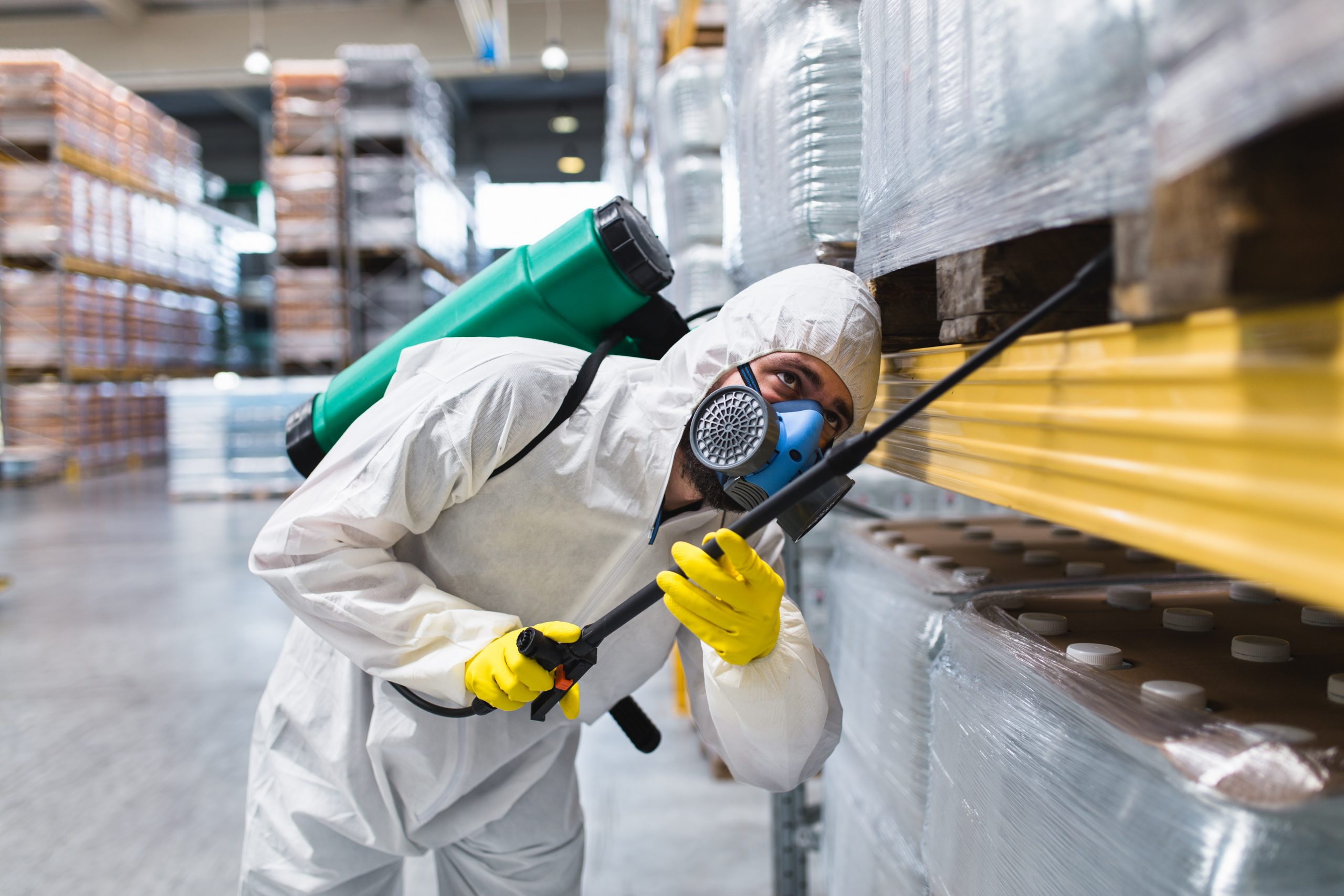 Commercial Pest Control Pest Assured